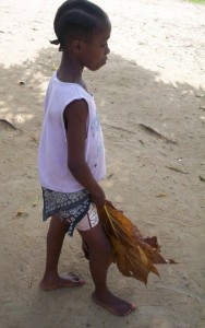 Little boy carrying giant leafs